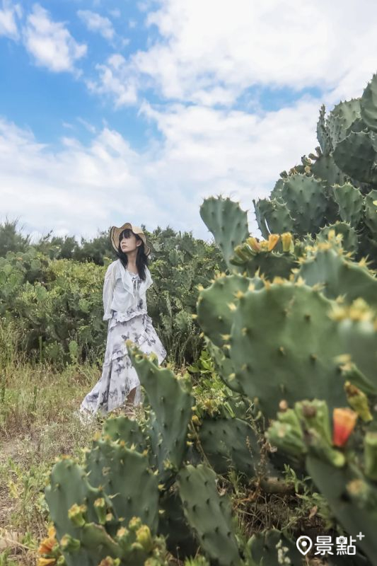 （圖／aday0530，以下同）