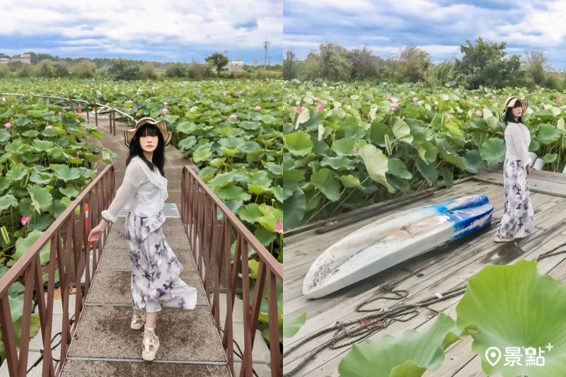 滿版蓮花海S型水上步道美拍！最新賞花秘境5大順遊景點必收