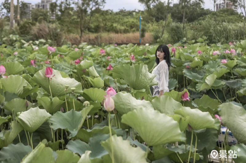 （圖／aday0530，以下同）