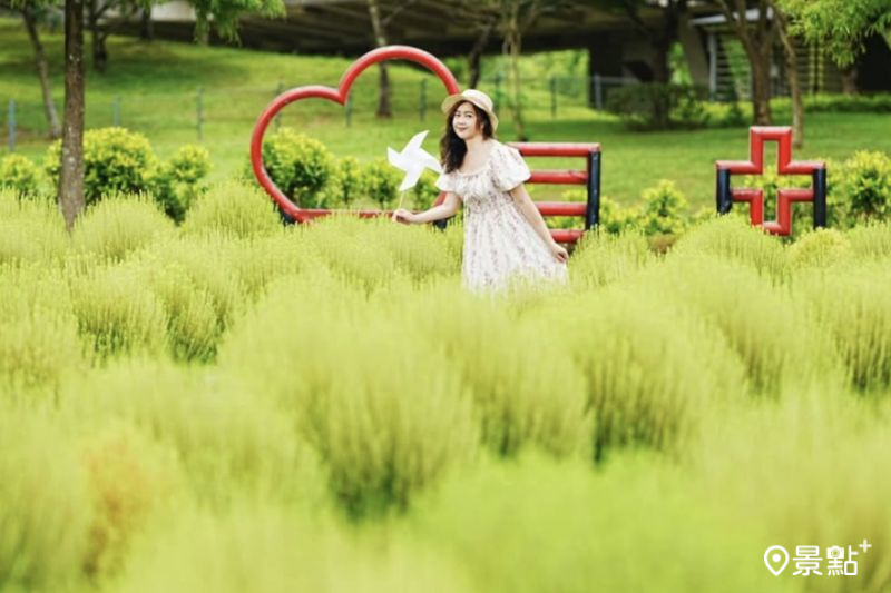 宜蘭縣冬山鄉1700顆波波草場景十分夢幻，吸引人前往拍照打卡。（圖／a_tsai324）