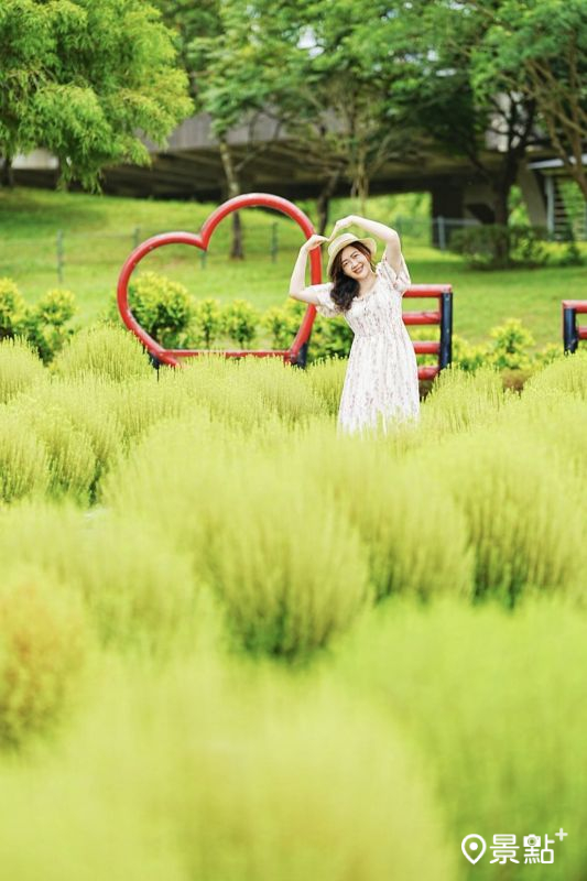 於2025年7月8日拍攝的宜蘭縣冬山鄉波波草美景。（圖／a_tsai324，以下同）