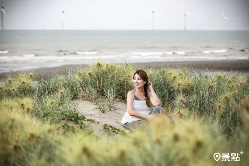 於2025年7月12日拍攝的「合歡石滬」濱刺麥花海。（圖／yu_ning0202）