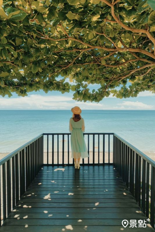 （圖／summer6639，以下同）