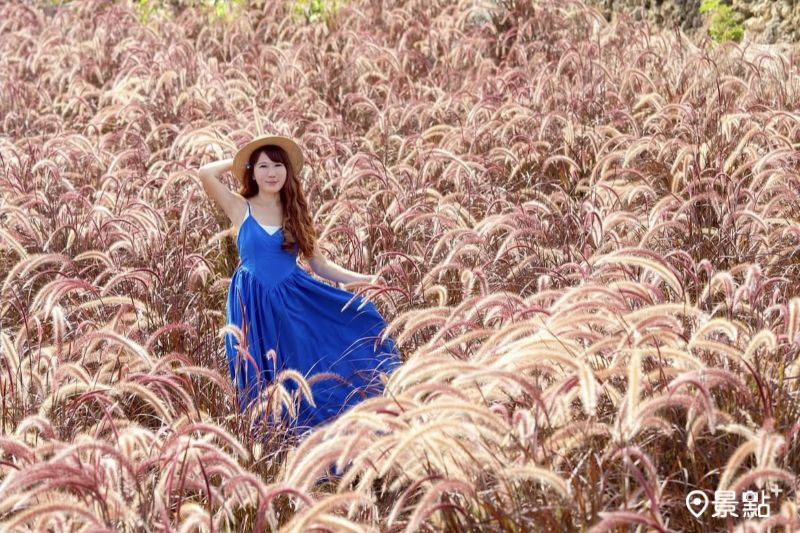 （圖／molly888666，以下同）