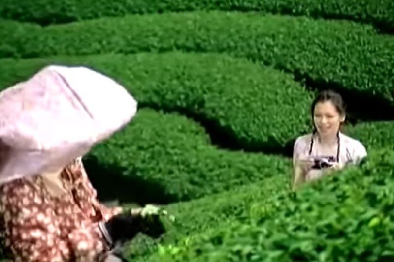 徐若瑄御茶園廣告取景地。