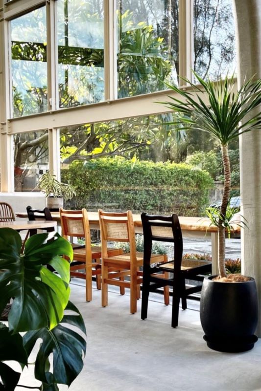 （圖／daily__ping）