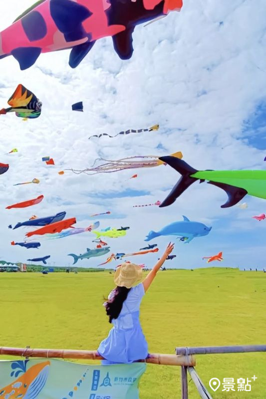 （圖／ada_00170）