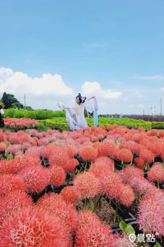 （圖／love520love520like，以下同）