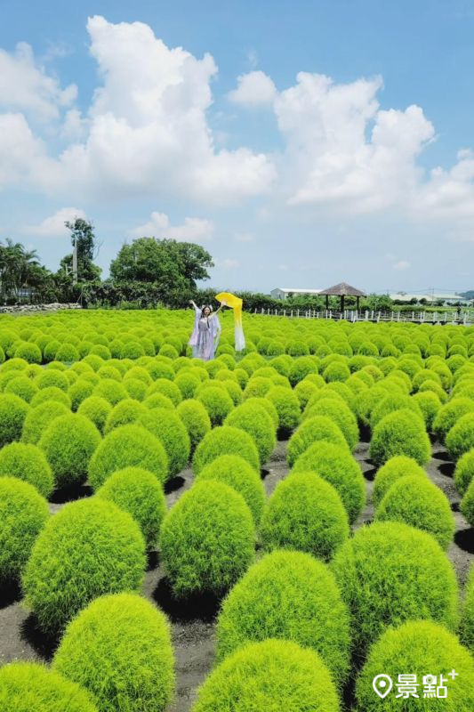 （圖／love520love520like）