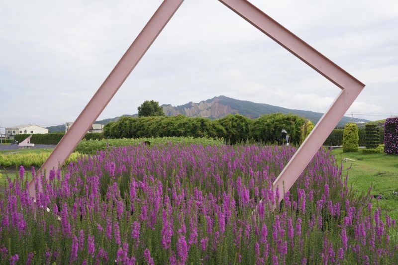 千曲草花海。（圖／中社觀光花市）