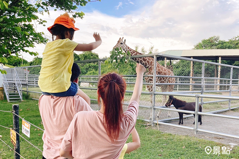 「飯店有禮 時時有驚喜」住房專案，包含早餐、頑皮世界野生動物園門票與動物餵食體驗。
