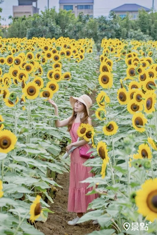 （圖／lyxingyingxie）