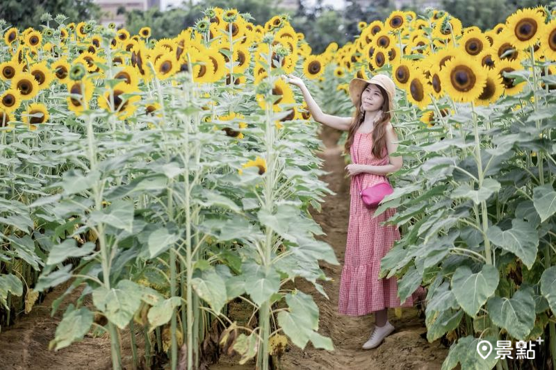 （圖／lyxingyingxie）