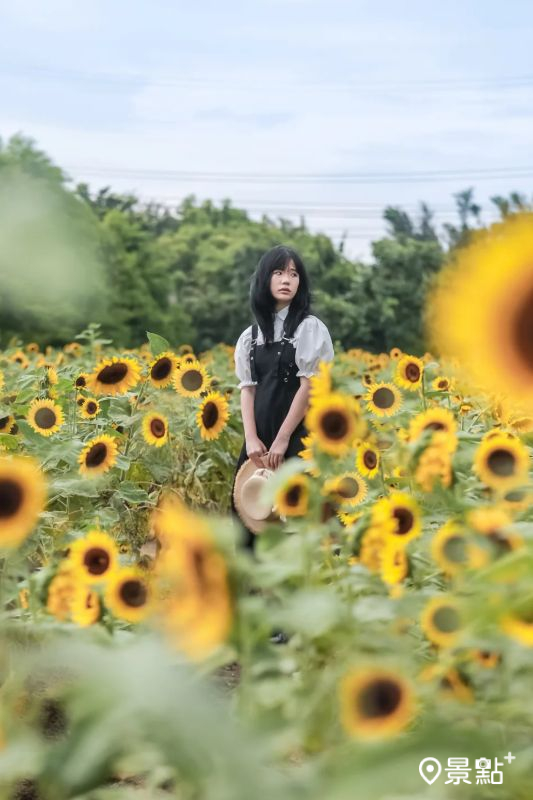 （圖／aday0530，以下同）