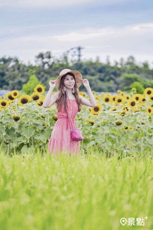 （圖／lyxingyingxie）