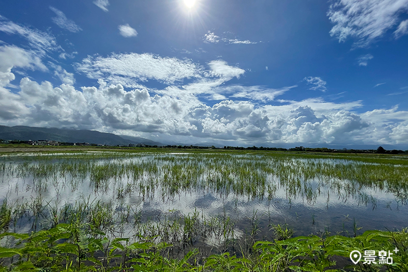 （圖／驚豔台灣）
