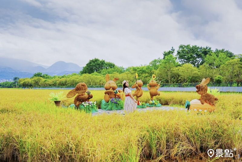 （圖／a_tsai324）