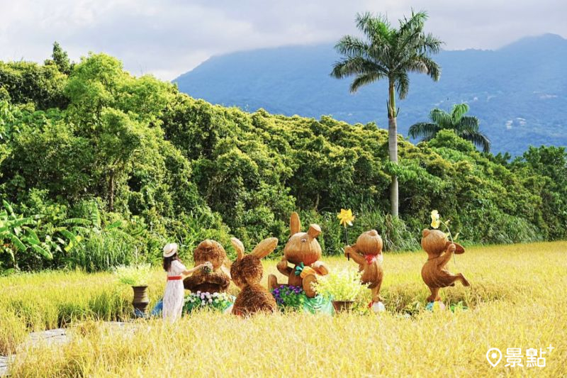 （圖／a_tsai324，以下同）