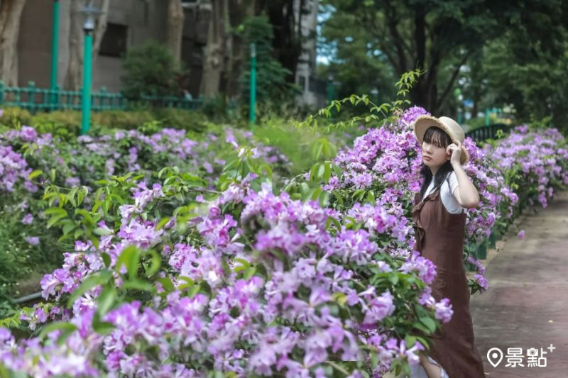 （圖／aday0530）