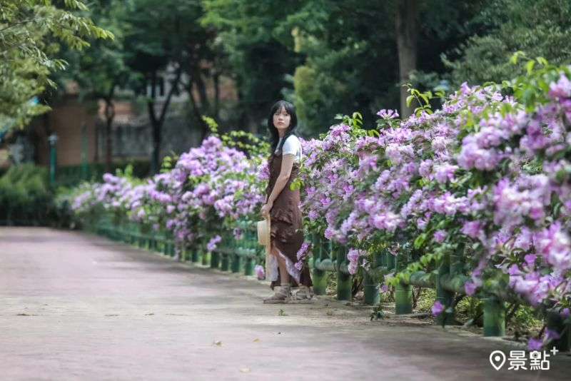 （圖／aday0530，以下同）