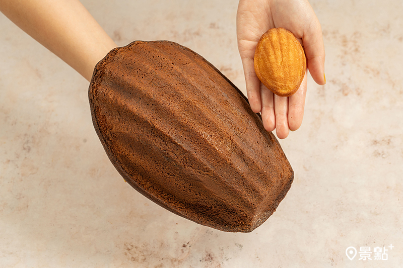 近22公分大的瑪德蓮是desert LAND鎮店之寶。