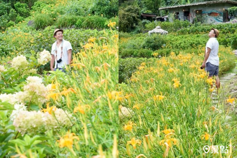 金針花海階梯大景夏日限定美拍！最佳花期南瓜免費換5大順遊景點一次收