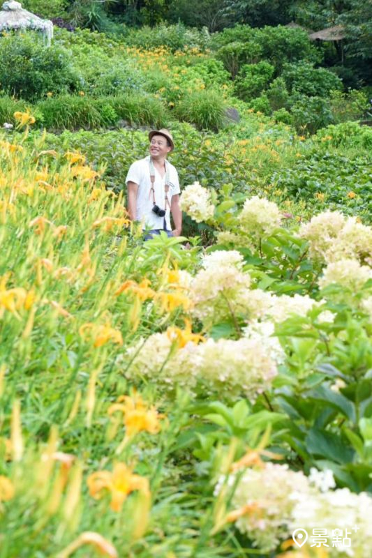 於2025年8月2日拍攝的曹家花田香金針花海美景。（圖／chih07090616，以下同）