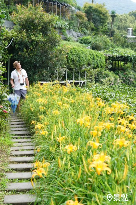 （圖／chih07090616）