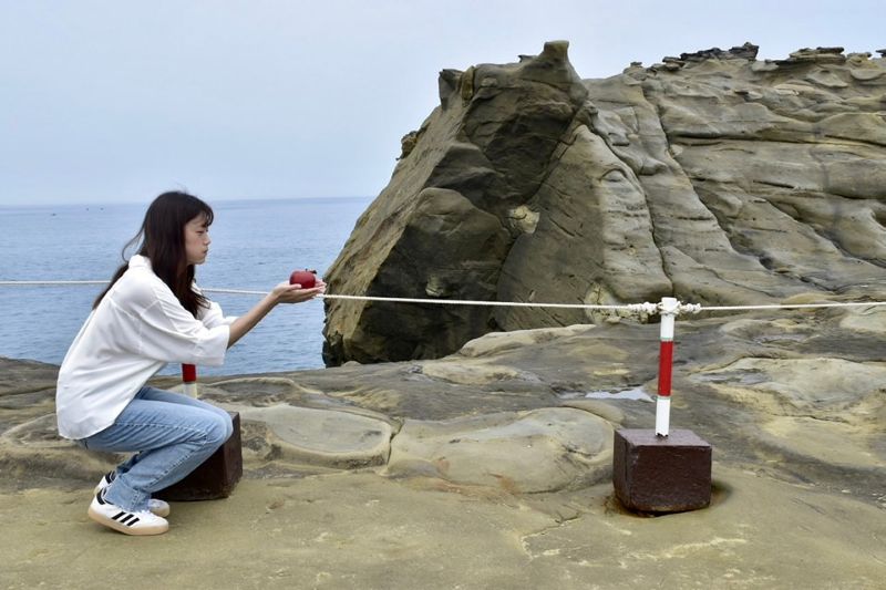 （圖／新北市瑞芳區公所）