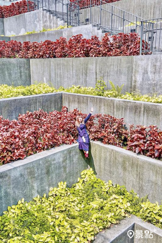 （圖／gominkin，以下同）