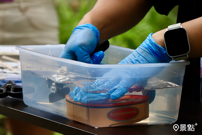 全球最臭罐頭現身松菸！（圖／KKLIVE，以下同）