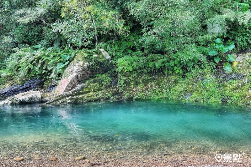 宛如青池夢幻碧綠水景！坪林金瓜寮魚蕨步道天然冷房順遊3大景點一日遊