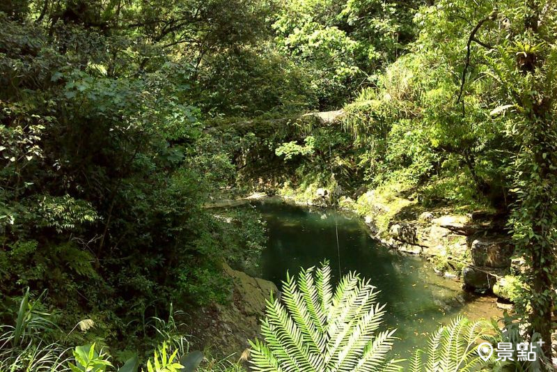 （圖／新北市政府，以下同）