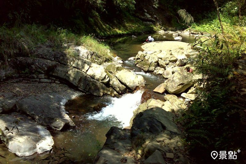 金瓜寮溪蕨類步道林蔭溪流。