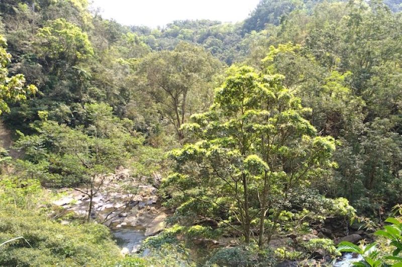 金瓜寮溪景致。（圖／農業部林業及自然保育署）