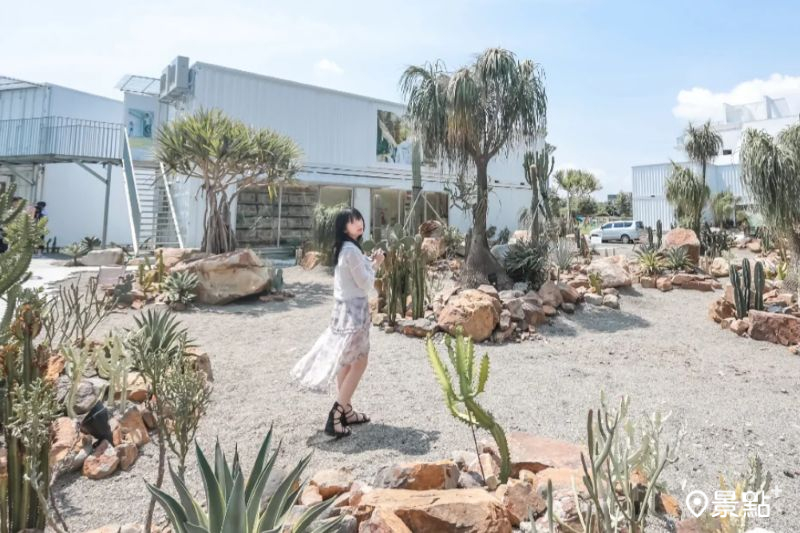 台版小加州沙漠仙人掌Ｘ純白貨櫃新地標！全台最美寢具店5大景點順遊