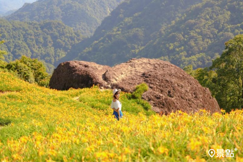 （圖／tsotso_1206，以下同）