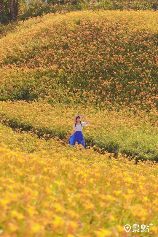 （圖／tsotso_1206）