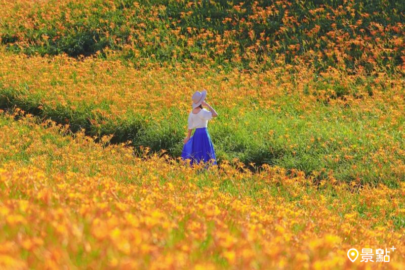 （圖／tsotso_1206）