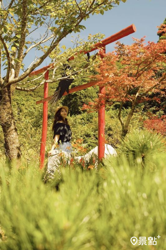 往年園內紅葉同框日式鳥居美景。（圖／a_tsai324）