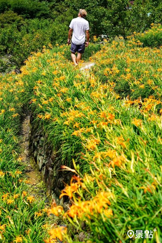 （圖／chih07090616，以下同）