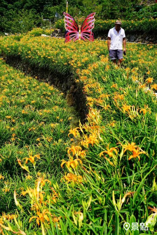 （圖／chih07090616）