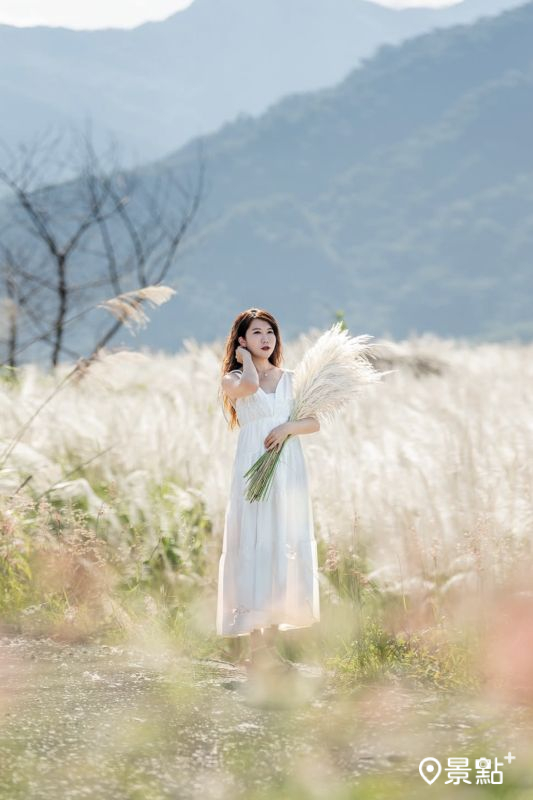 （圖／molly888666）