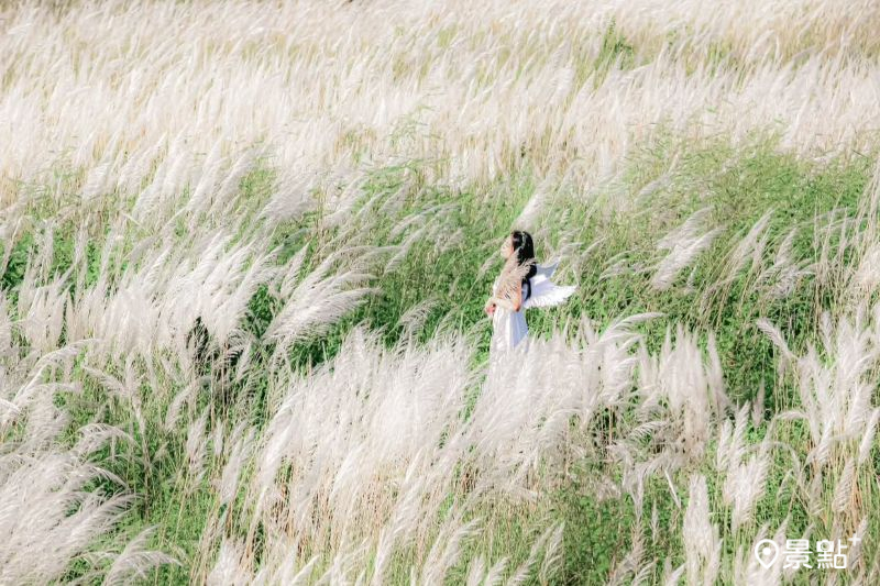 （圖／pho_traveler_joe）