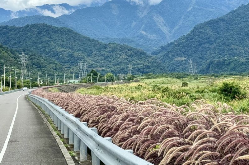 （圖／苗栗縣政府農業處）