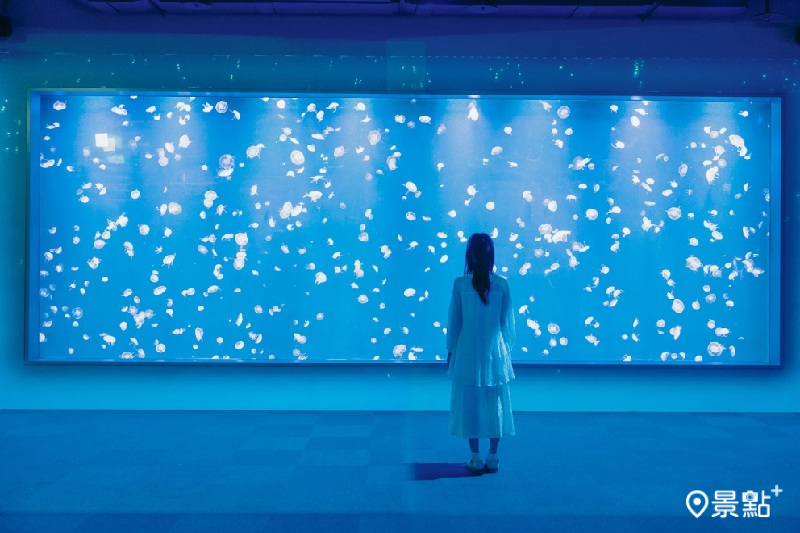 圖 / 台中海洋館，以下同