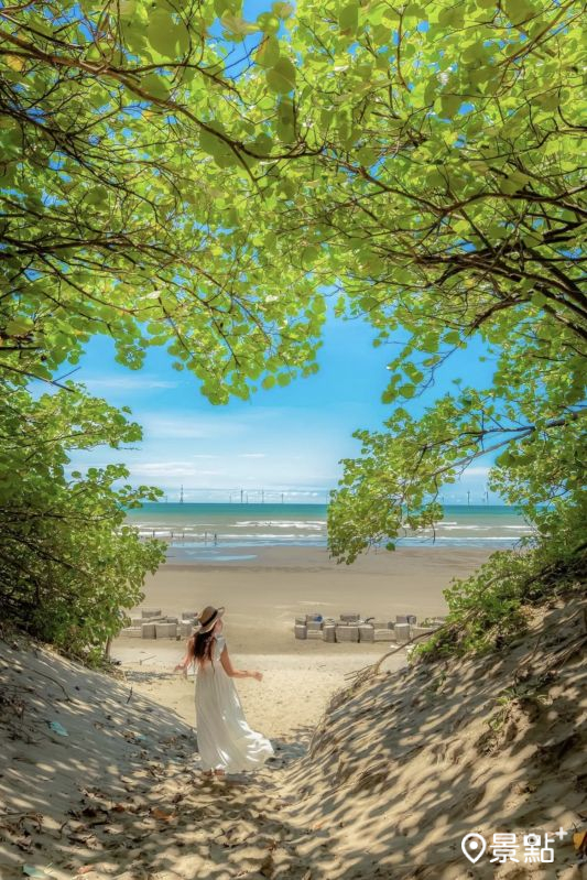 （圖／molly888666）