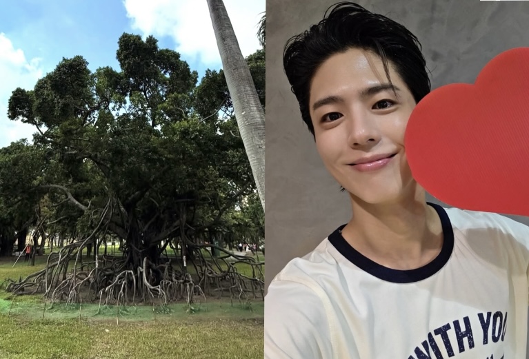 圖 / Bogummy，以下同