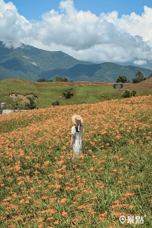 （圖／tintinghi）