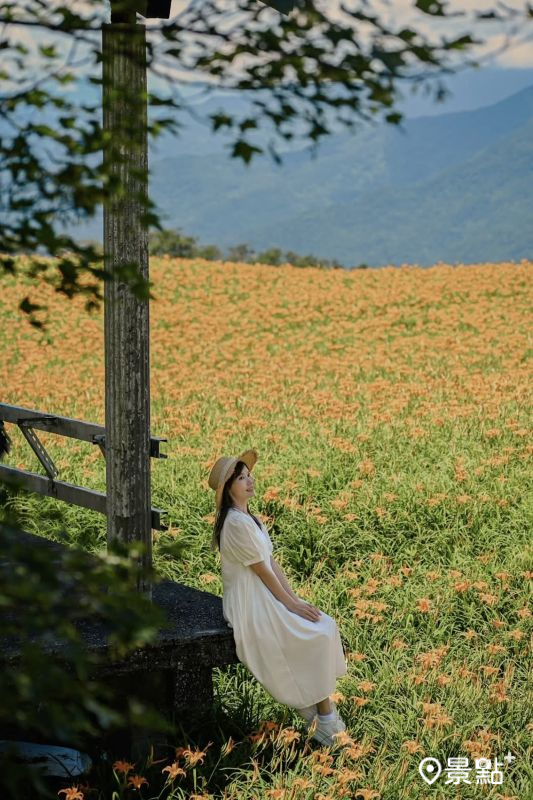 （圖／tintinghi，以下同）